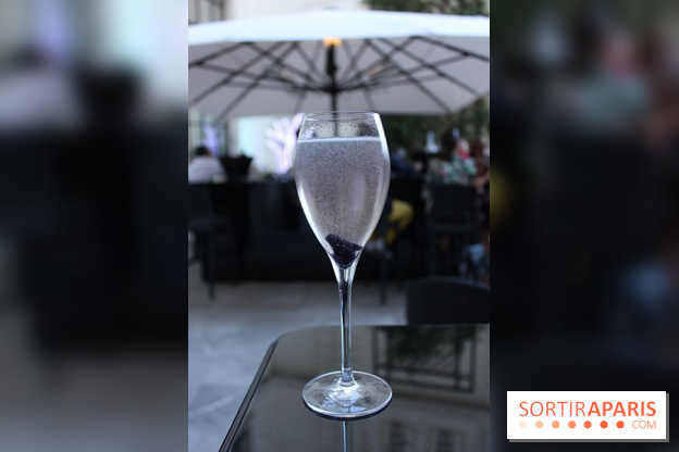 La terrasse d'été du Shangri-La Paris by Belvedere