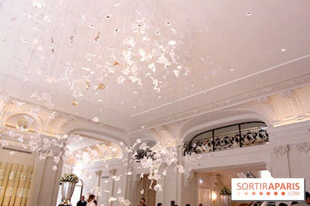 Peninsula : œuvre d'art