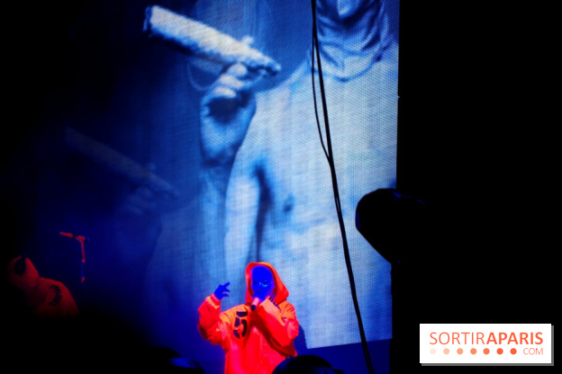 Rock En Seine 2014 - Die Antwoord