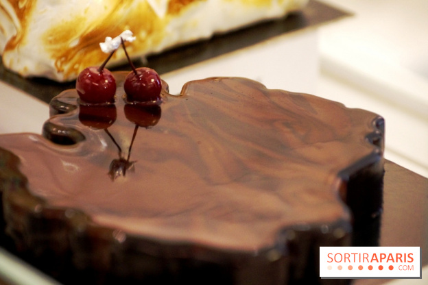 Bûche Gâteaux Thoumieux