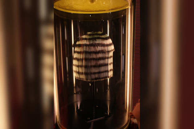 Le cheveu, de mèche avec la science au Palais de la Découverte