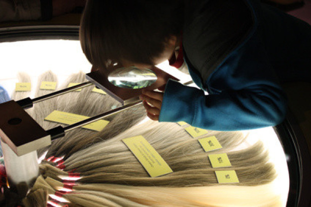 Le cheveu, de mèche avec la science au Palais de la Découverte