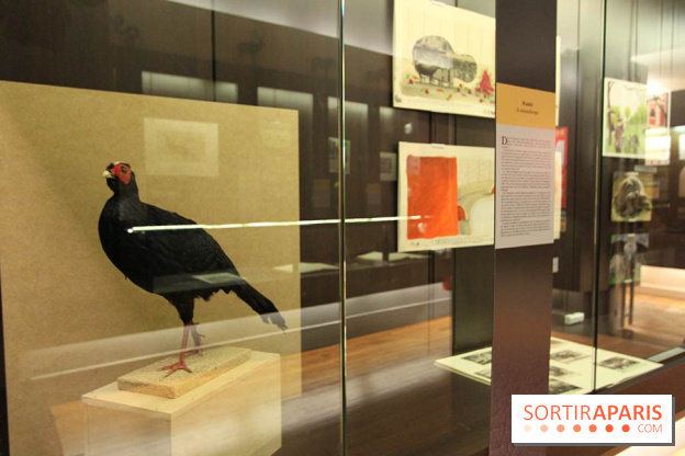 Les animaux célèbres de la Ménagerie, l'exposition