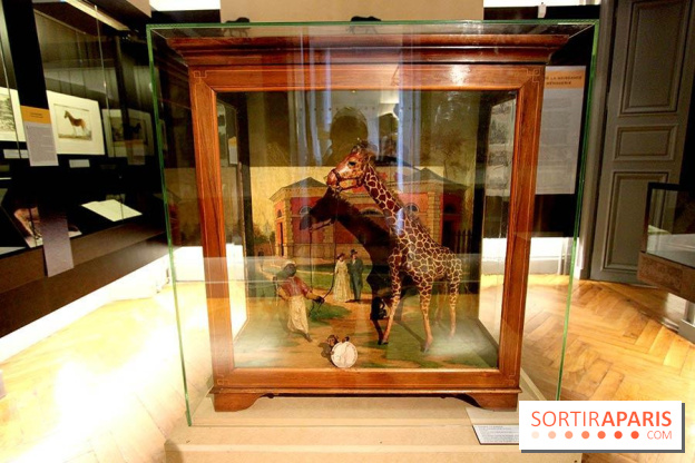 Les animaux célèbres de la Ménagerie, l'exposition