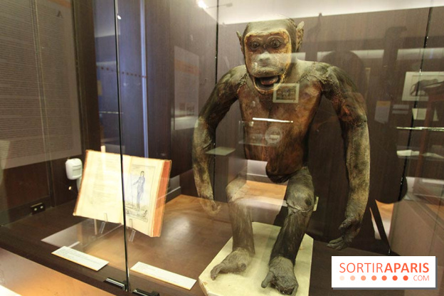 Les animaux célèbres de la Ménagerie, l'exposition