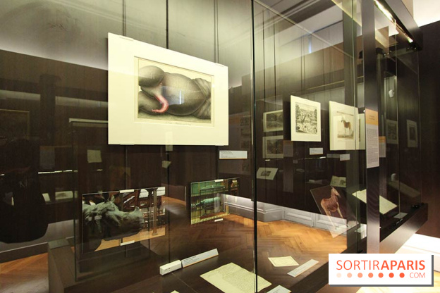 Les animaux célèbres de la Ménagerie, l'exposition