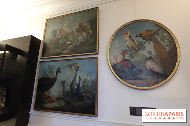 Les animaux célèbres de la Ménagerie, l'exposition