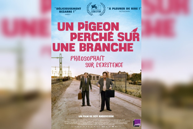 Un pigeon perché sur une branche philosophait sur l'existence