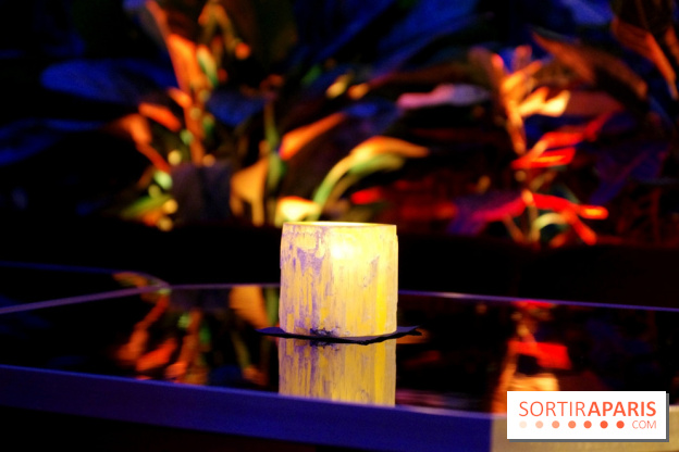 Le Très Particulier - la verrière