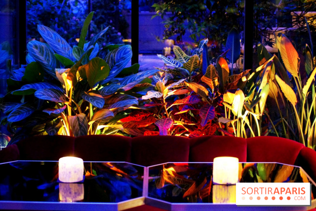 Le Très Particulier - la verrière