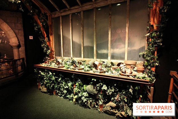 Exposition Harry Potter à Paris, Cité du Cinéma