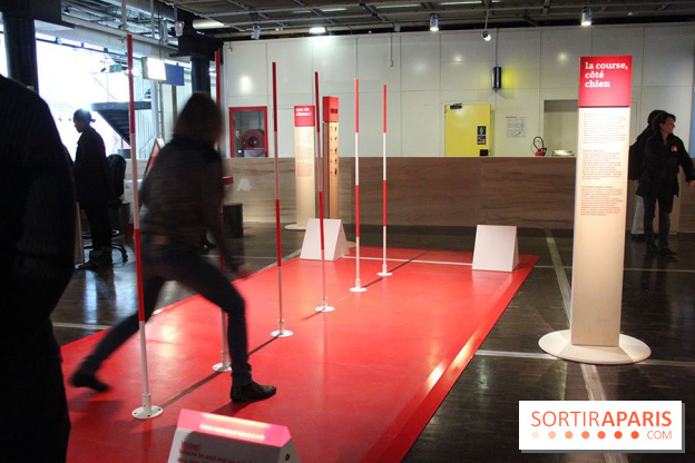 Exposition Chiens et Chats à la Cité des Sciences