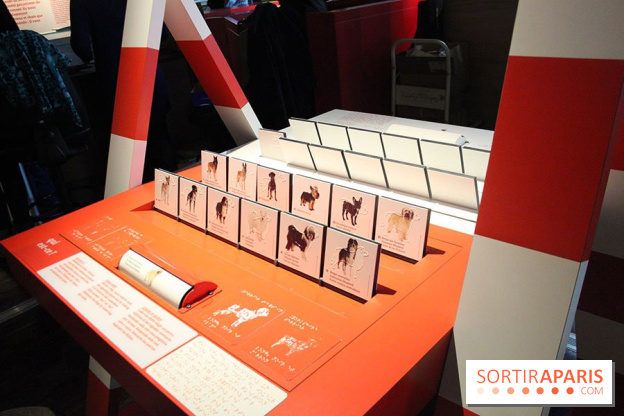 Exposition Chiens et Chats à la Cité des Sciences