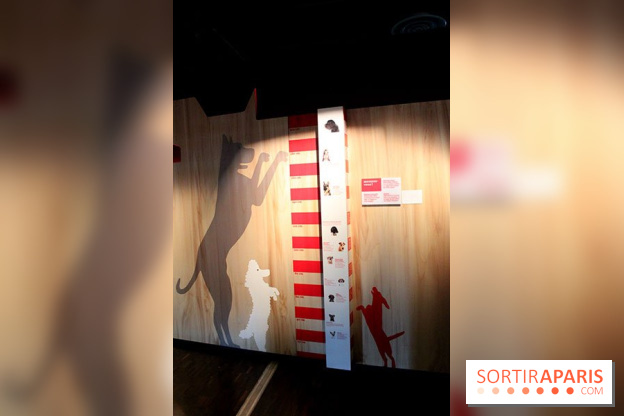 Exposition Chiens et Chats à la Cité des Sciences