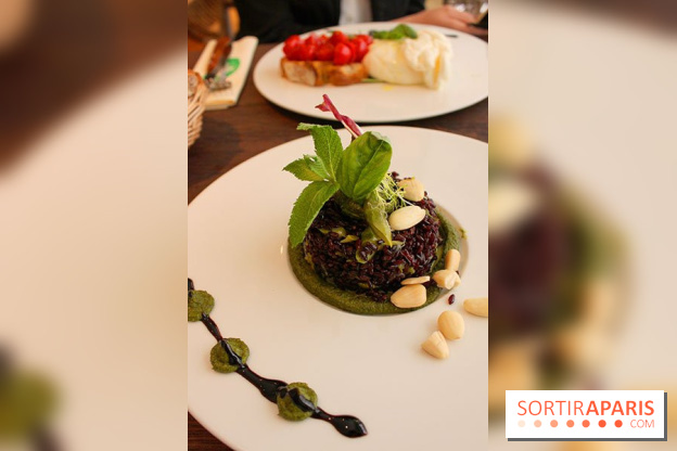 Cicciolina, l'Italie à Paris