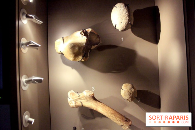 La Grotte de Lascaux à Paris !