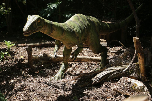 Les Dinosaures investissent le Zoo de Thoiry