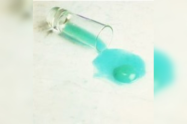 Art, Culture, Expositions, Cesar, Paris, Fondation Cartier, Transversal, Soirées Nomades