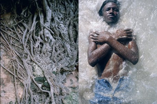 Exposition, Photographie, MEP, Sophie Elbaz, Envers de soi
