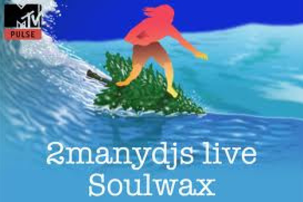 Soulwaxmas (2manydjs + Soulwax + Guests)