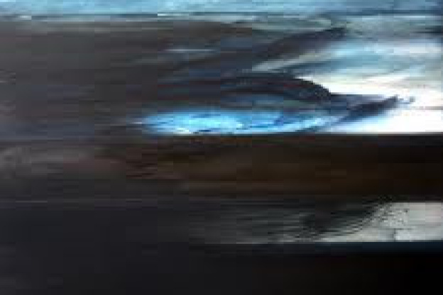 Les artistes de la galerie