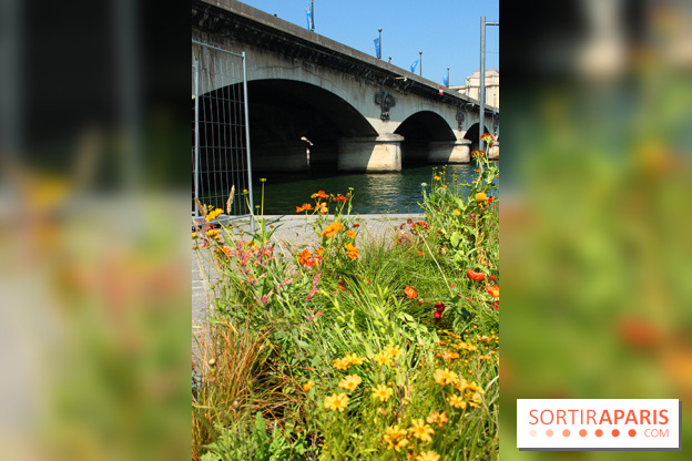 Petite Fleur Folie, le jardin éphémère sur les Berges