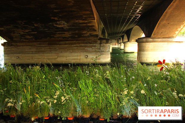 Petite Fleur Folie, le jardin éphémère sur les Berges