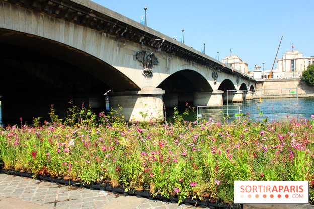 Petite Fleur Folie, le jardin éphémère sur les Berges