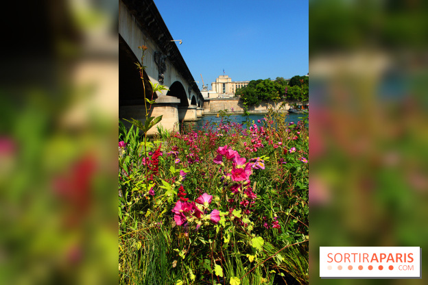 Petite Fleur Folie, le jardin éphémère sur les Berges