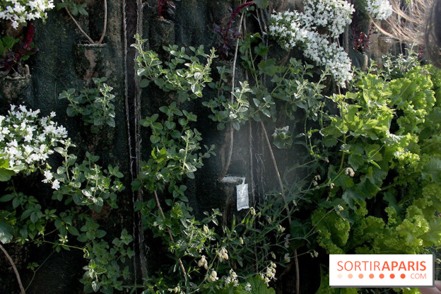 Le Paris sous les fraises des Galeries Lafayette