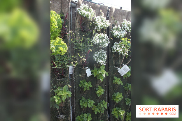 Le Paris sous les fraises des Galeries Lafayette