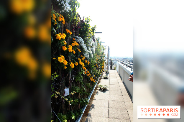 Le Paris sous les fraises des Galeries Lafayette