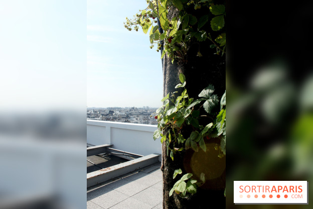 Le Paris sous les fraises des Galeries Lafayette