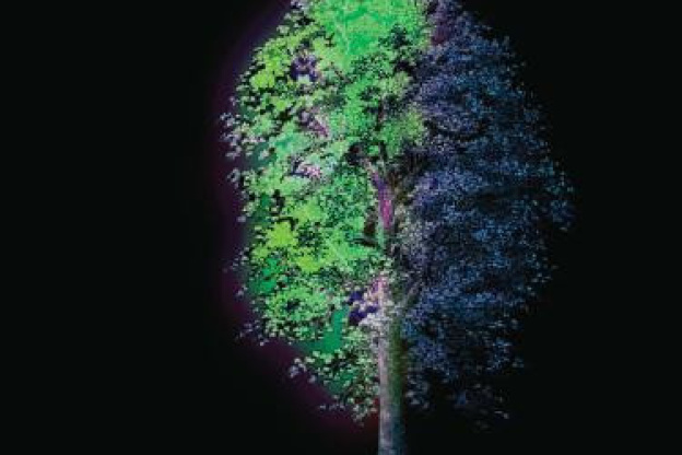 Nuit Blanche 2014 à Paris : le parcours 'A la lumière des arbres'