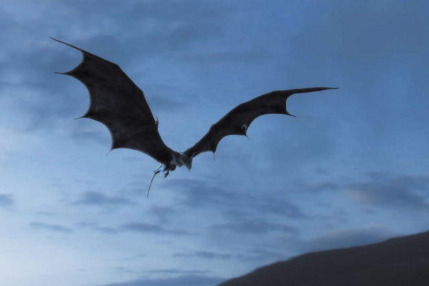 Dragons 3D à la Géode