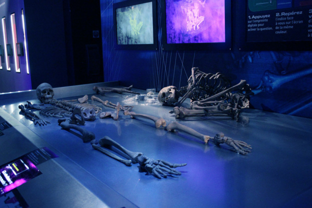 Préhistoire(s), l'enquête