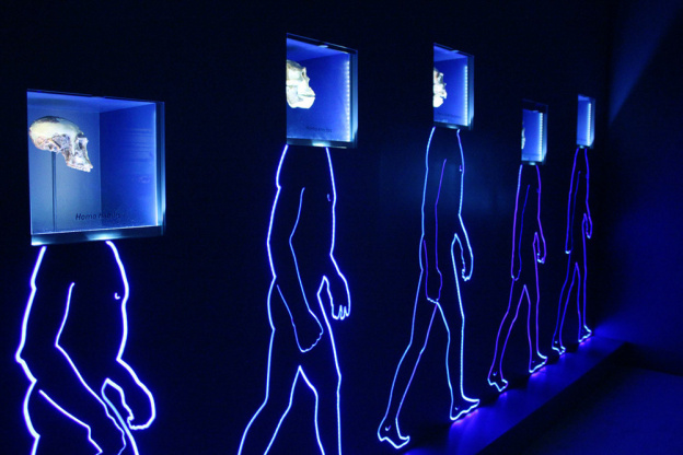 Préhistoire(s), l'enquête