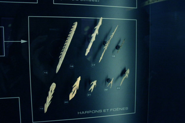 Préhistoire(s), l'enquête