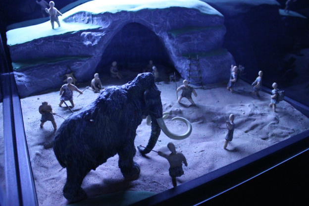 Préhistoire(s), l'enquête