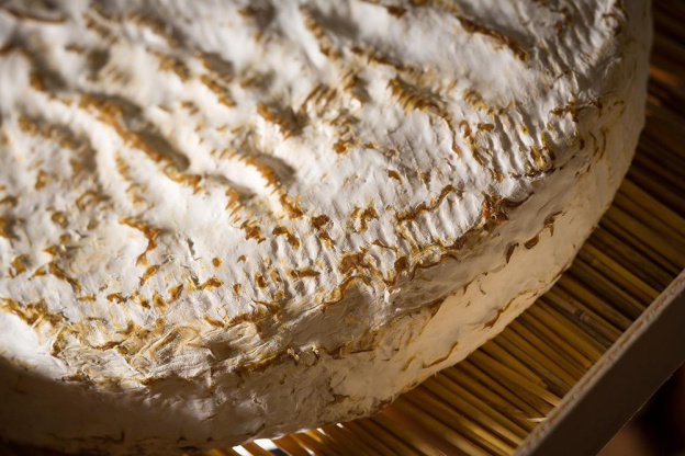 Cheese : fromagerie, cave à vins et épicerie fine