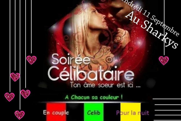 CeliBataire ( ou pas ) chacun sa couleur!