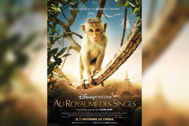 Au Royaume des Singes le 11 novembre au cinéma 