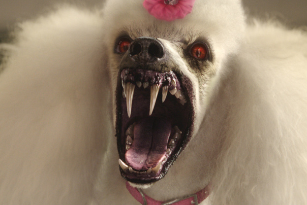 Chair de Poule - Le film : bande-annonce 