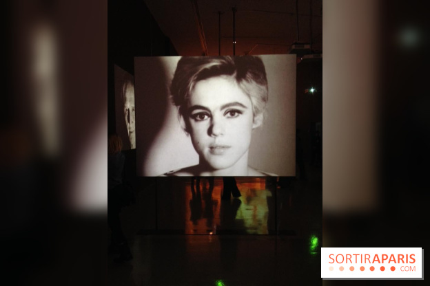 Andy Warhol au MAMVP