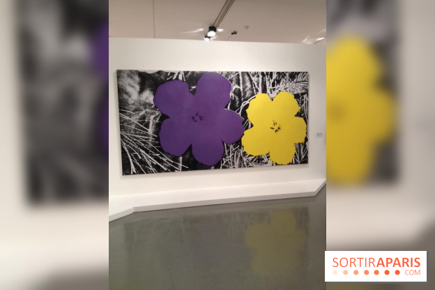 Andy Warhol au MAMVP