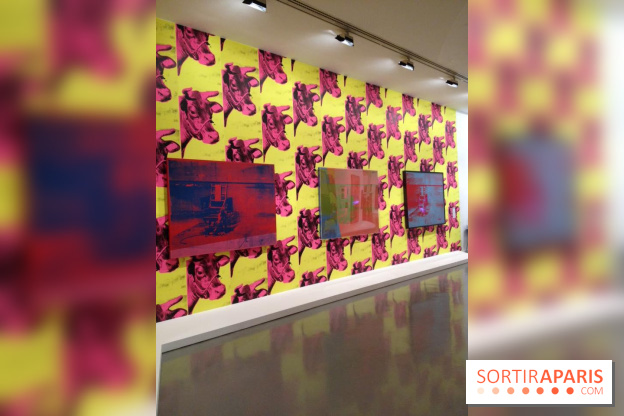 Andy Warhol au MAMVP