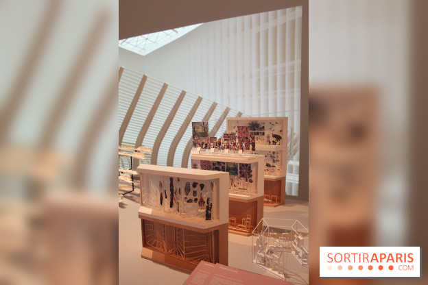 Le nouveau Musée de l'Homme