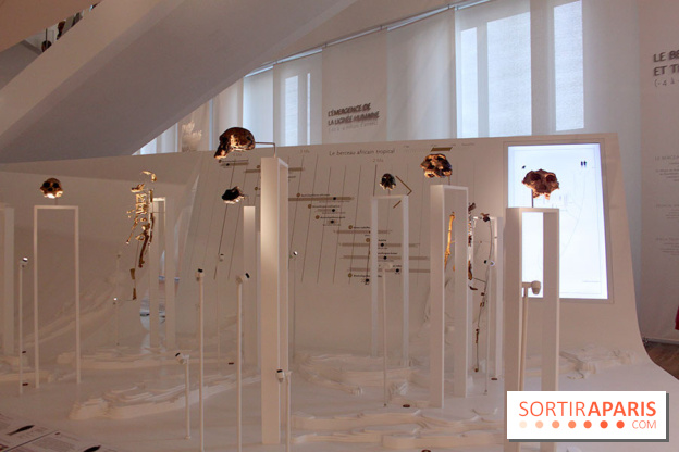 Le nouveau Musée de l'Homme 