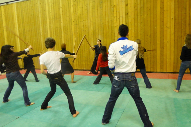 Paris Manga & Sci-Fi Show 2012, Art martiaux