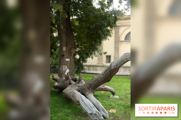 FIAC 2015, le hors-les-murs au Jardin des Plantes